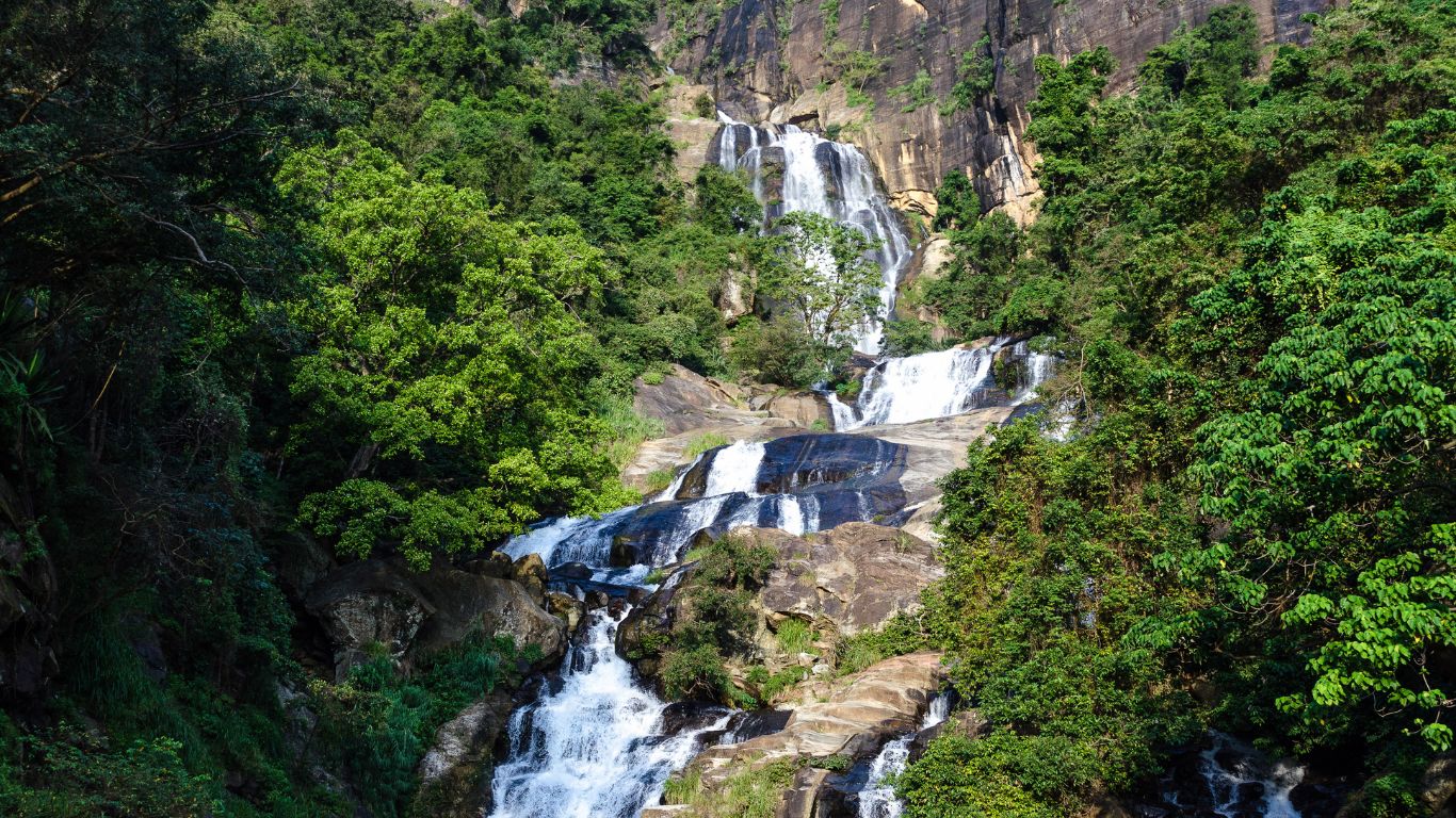 Eco-Friendly Travel in Sri Lanka 2026: Green Hotels, Wildlife Ethics & Responsible Tourism